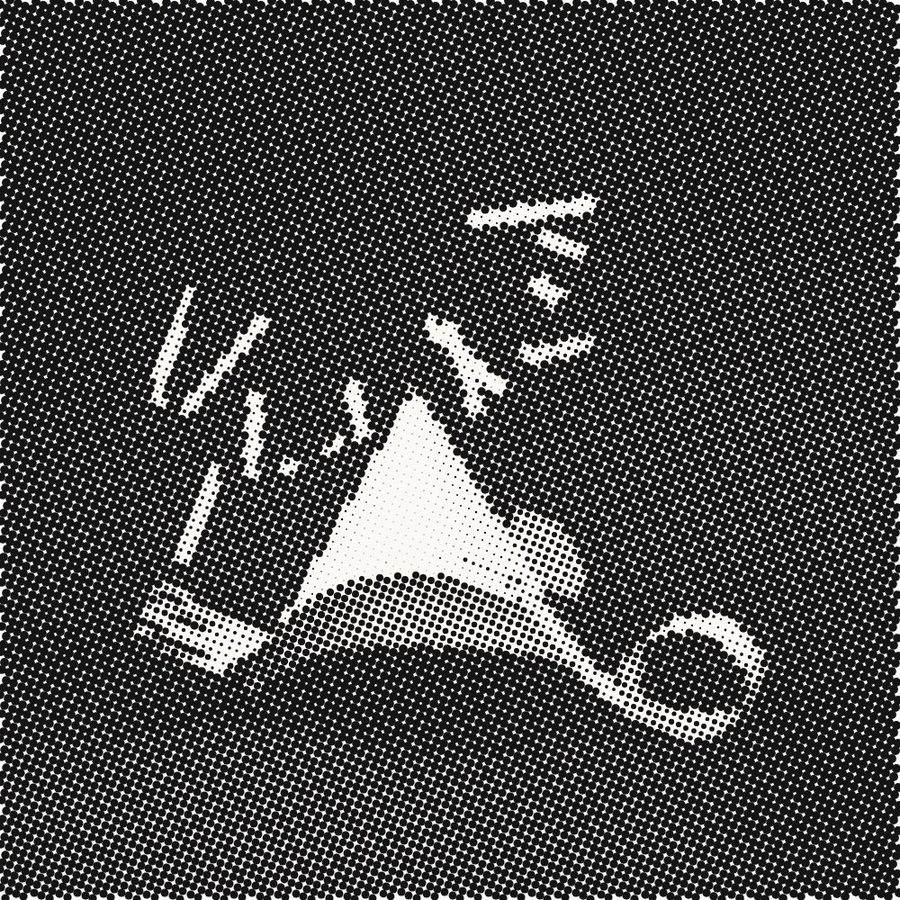 The same photograph as a halftone dot screen
